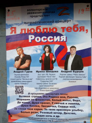 патриотический концерт "Я люблю тебя, Россия" в Ситьковском сельском клубе - фото - 9